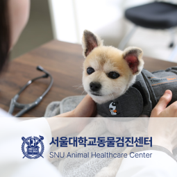 서울대동물검진센터