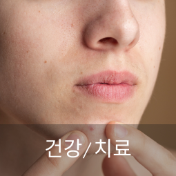 건강/치료
